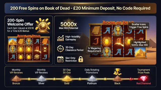 PlayKasino's 200-Spin Welcome Offer Shows How Bonus Terms Work